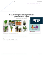 19 Ervas e Vegetais que podem ser plantados na Água.pdf