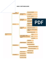 PetaKonsep METABOLISME