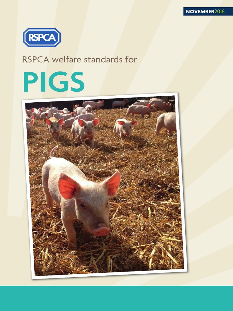 RSPCA Welfare Standards For Pigs (PDF 5.72MB) | PDF | Animal Welfare ...