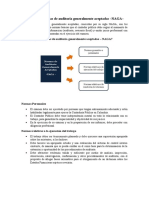 Definición de Normas de Auditoría Generalmente Aceptadas