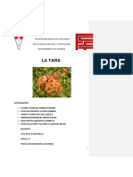 Tara-Trabajo Final-Grupo 9 PDF