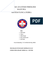 Makalah Anatomi Fisiologi Manusia Panca