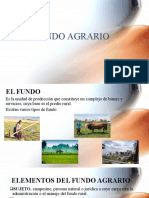 El Fundo Agrario