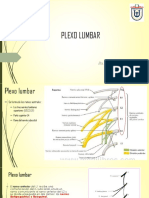 3 Plexo Lumbar 1 PDF