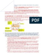 Cleft) : You Have A Basal Lamina (This Is A Sheet of Extracellular Matrix Containing Large Proteins That