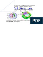 Cell Structure 9