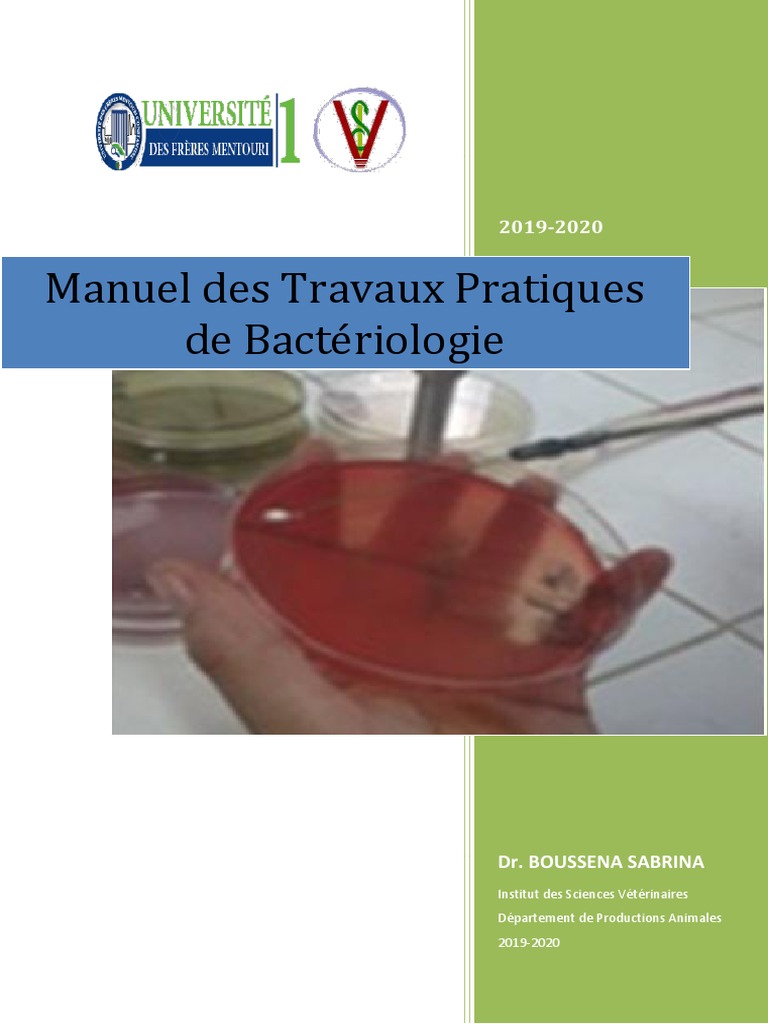 TP Bacteriologie | PDF | Microbiologie | Infection