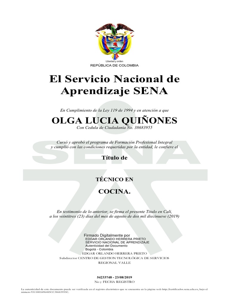 Diploma Tecnico Pdf Pdf