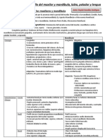 Anomalías Del Desarrollo Del Maxilar y Mandíbula (Reydel Gonzalez)