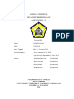 Cyntia Dwi Utami - F1G019010 - Laporan Praktikum Adisi Ikatan C C