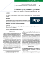 cd061i.pdf