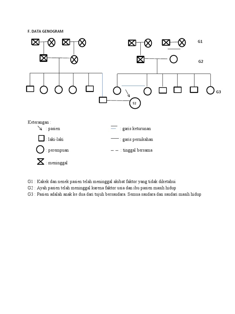 GENOGRAM | PDF