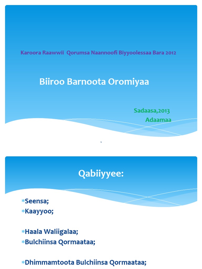biiroo-barnoota-oromiyaa-karoora-raawwii-qorumsa-naannoofi
