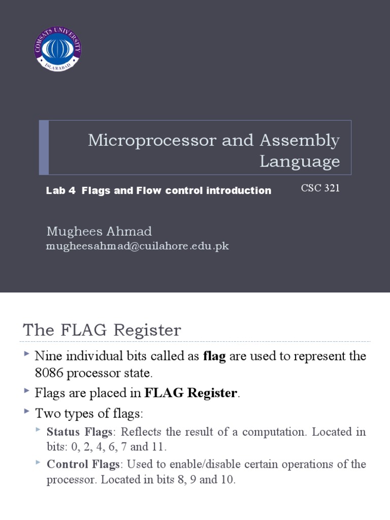 Flags and Flow Control Structure | PDF | Bit | Computer Architecture