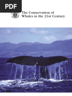 Download Conservation of Whales in the 21st Century by Mariko SN48972817 doc pdf