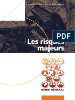 43 Dppr-Livretrisqmajeurs-V7 PDF