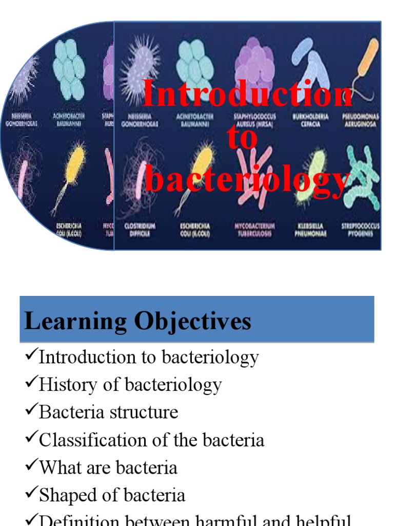 Introduction to Bacteriology Basics | PDF | Bacteria | Microscopy