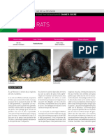 Fiche Phyto Rats