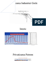 Privatizarea industriei grele