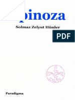 Solmaz Zelyut Hünler Spinoza Paradigma Yayınları PDF