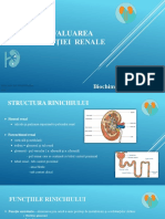 Evaluarea Funcției Renale: Biochimie Clinică