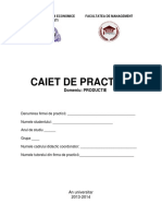 Caiet Practica Productie PDF