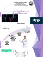 anatomía-ginecológica-2019