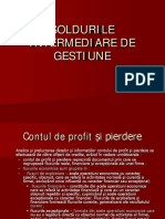 04 Cont Profit Pieredere SIG PDF
