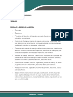 Derecho Laboral.pdf