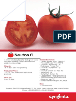 Newton Flyer PDF