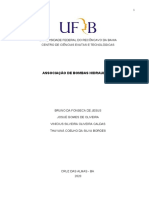 Relatorio 2 - Associação de Bombas Hidraulicas