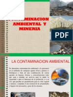 Contaminacion Ambiental y Mineria-1