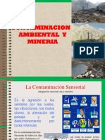 Contaminacion Ambiental y Mineria-2
