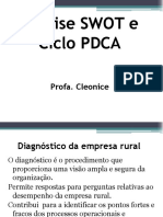 Análise SWOT e Ciclo PDCA: Profa. Cleonice