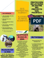 Plegable Maltrato Animal PDF