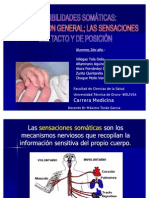 Sensibilidad Somatica 3 1222790501483926 8
