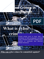 Cyber Crimes