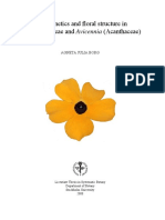 Borg 2008 - Phylogenetics and Floral Structure in Thunbergioideae and Avicennia (Acanthaceae)