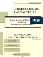 Subtema 4 y 5 Reproduccion y Genetica Bacteriana