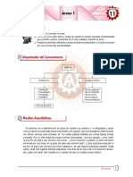 Áreas geométricas: Teoremas y fórmulas para calcular áreas de triángulos, cuadriláteros y círculos