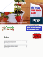 Cultivo morango em marmitex.pdf