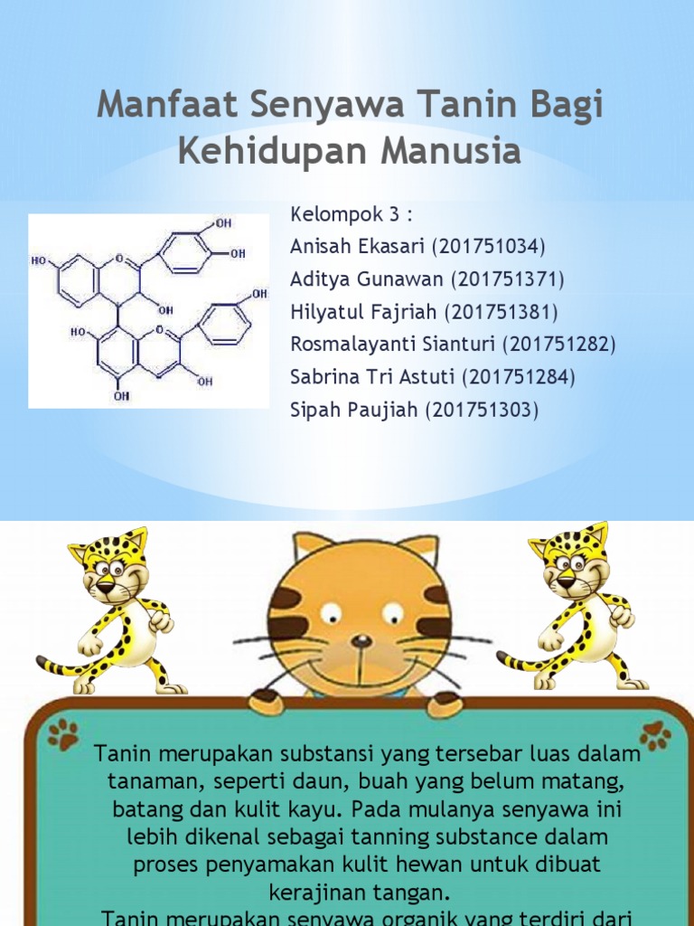 Manfaat Senyawa Tanin (Kel.3) | PDF