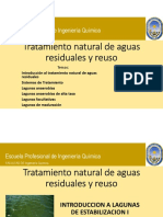 SESION 11-PARTE 1-TRATAMIENTO NATURAL DE ARs - INTRODUCCION