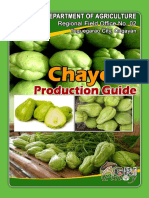 Chayote PDF