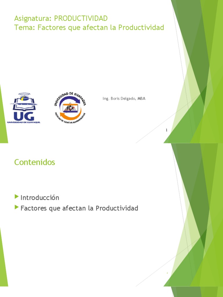 Factores que influyen en la productividad: Un análisis de los factores ...