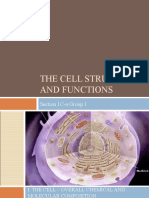 The Cell Structure and Functions