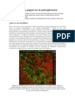 Biofil 1