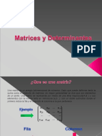 Algebra Lineal-Matrices y Determinantes