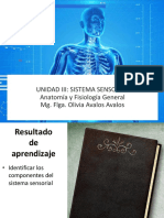 Clase 15 Sistema Sensorial PDF