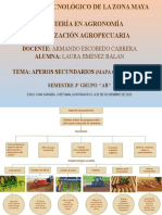 Aperos Secundarios - Mecanizacion